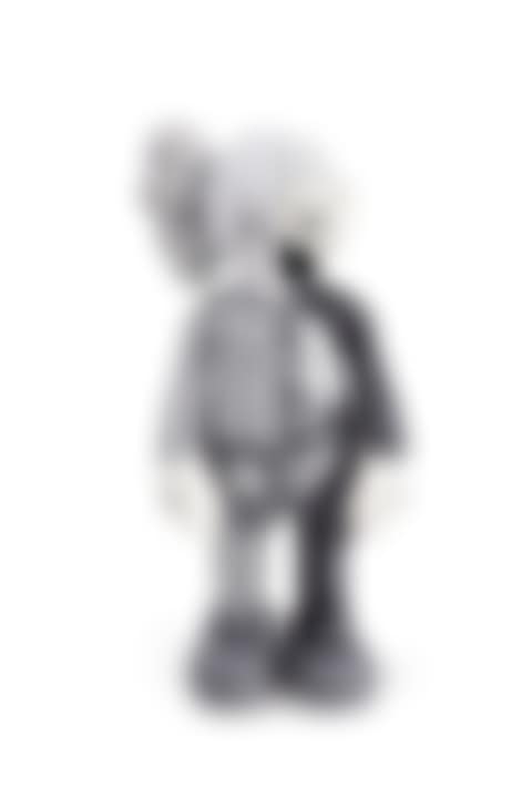 Dissected Companion (Gray) (preview)