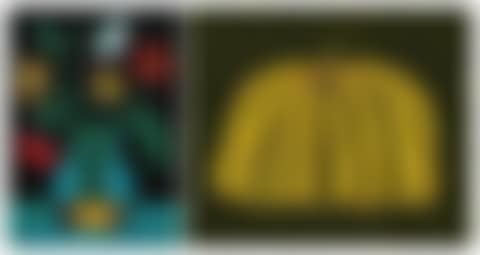 a. Flower b. Pumpkin YB-B (preview)