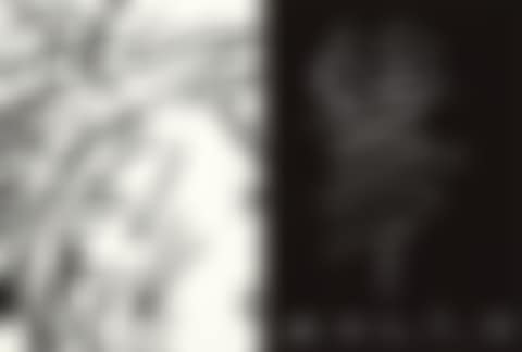 KAWS: MAN"S BEST FRIEND (With Signature and Drawings by the Artist) (preview)