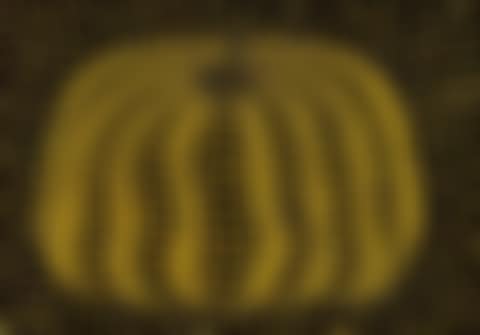Pumpkin (preview)