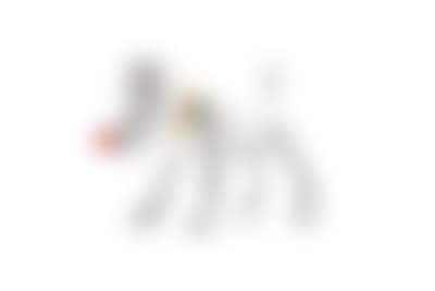 Project: Doggy Radio (preview)