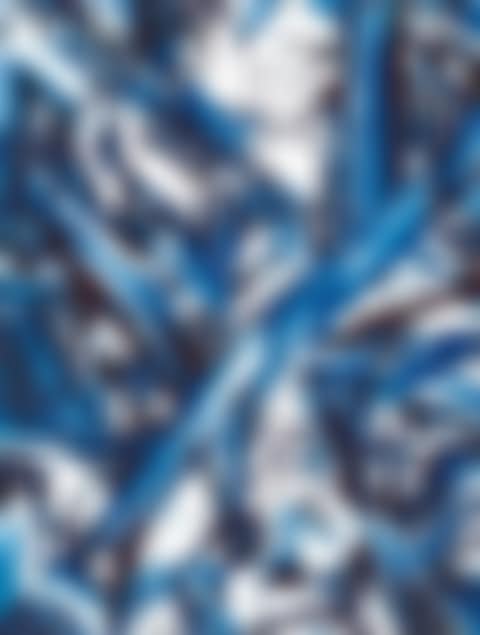 Splitting Horizon No.10 (preview)