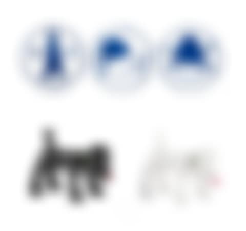 a. Life is Only One (3) b. Shinning Doggy (2) (preview)