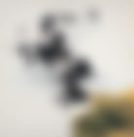Snow Mountain Picture (preview)