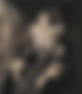 Portrait of Marie de" Medici (preview)