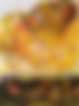 Golden Hills (preview)