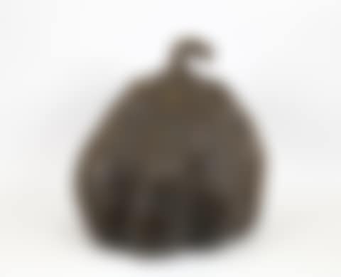 Pumpkin 1998Bron (preview)