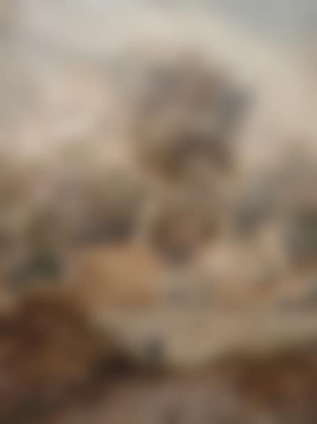 View of a village (preview)