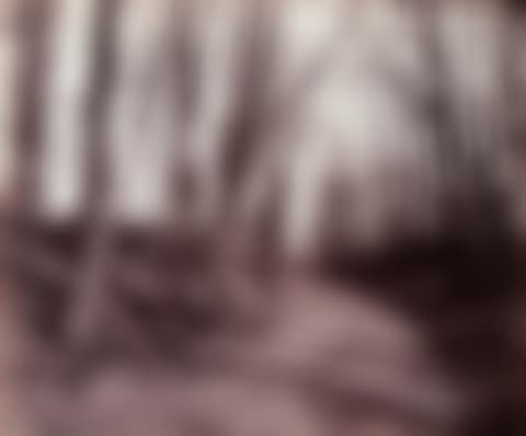 Parc de Saint-Cloud (path) (preview)