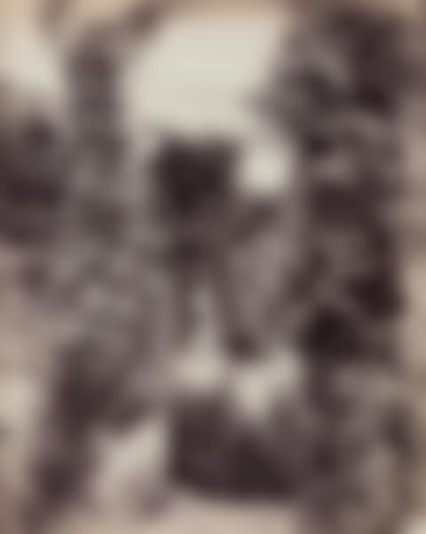 Selected Images of Roseraie de L"Haÿ (3 Photographs) (preview)