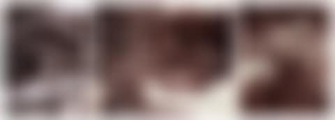 Selected Images of Roses, Parc Bagatelle (3 Photographs) (preview)