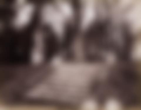 Parc de Sceaux (steps) (preview)