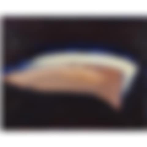 Untitled from the "Windhover" series (preview)