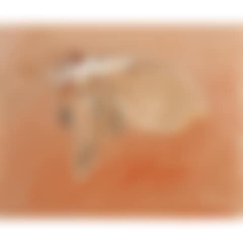 Untitled from the "Windhover" series (preview)