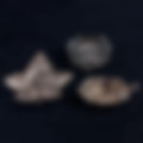 Leaf Form Dishes (preview)