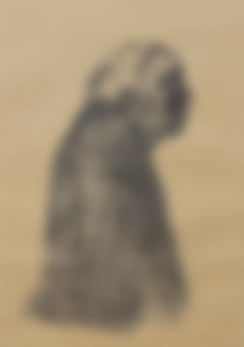 Self Portrait to the Right (preview)
