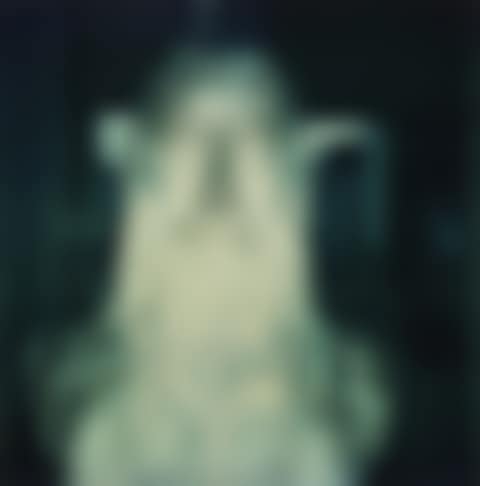 Leonardo da Vinci (preview)