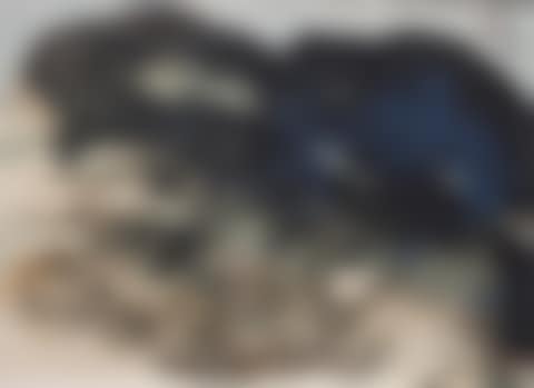"The Masterworks of Chang Dai-Chien," (preview)