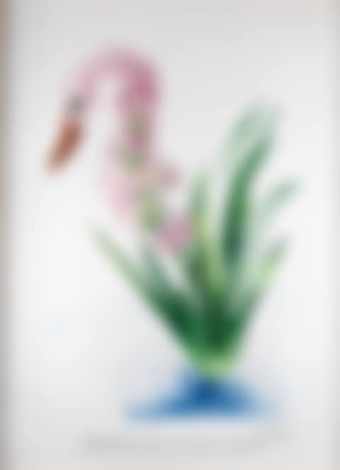 "Polyanthus Tubarosa et Cygnus Vegetales" from "Florals" (preview)