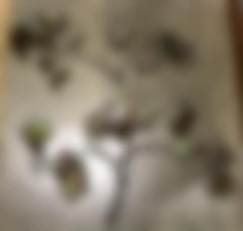 Wall relief sculpture (preview)