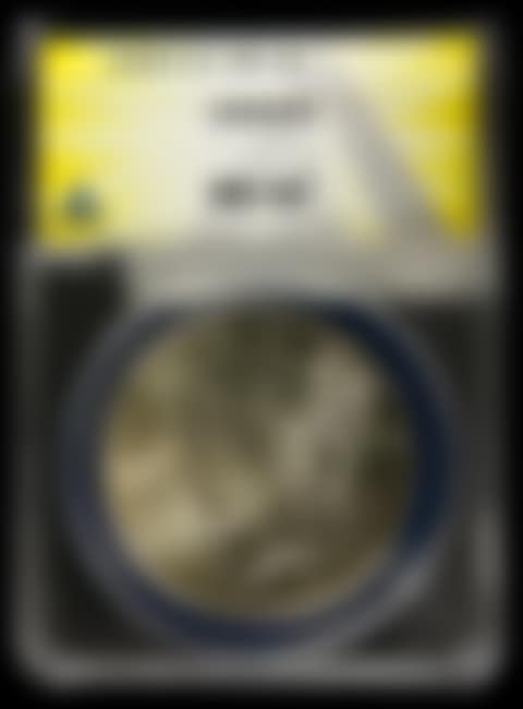 Peace silver dollar (preview)