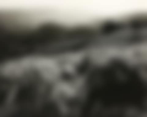 "Napa Valley" (preview)