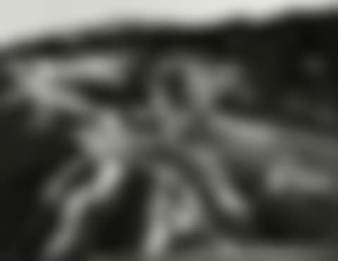 "From Zabriskie Point, Death Valley National Monument" (preview)