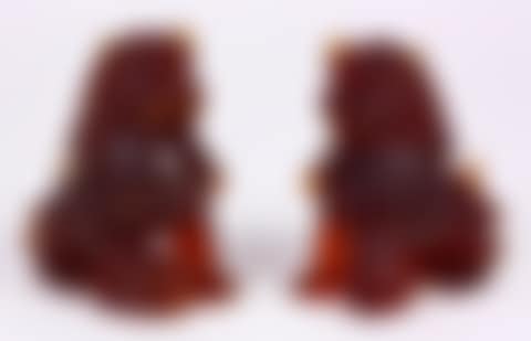 Foo lions (preview)