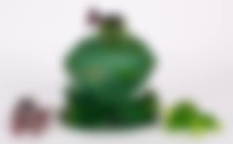 Frogs (preview)