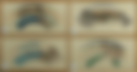 "Kanagawa", "Yui" , "Kawasaki" and "Nihonbashi" from the "53 Stations of Tokaido" series (preview)