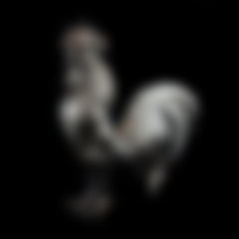 An Italian .925 silver figure of rooster (preview)