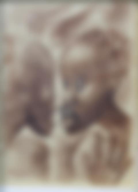 "Two Tahitian Woman"s Faces" (preview)