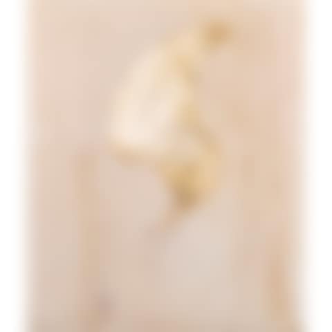 "Wing-Owl" (preview)