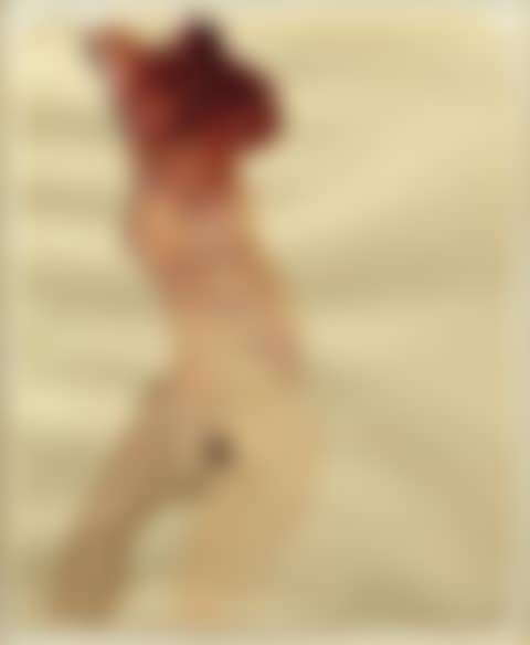 "Figure & Torso" (preview)
