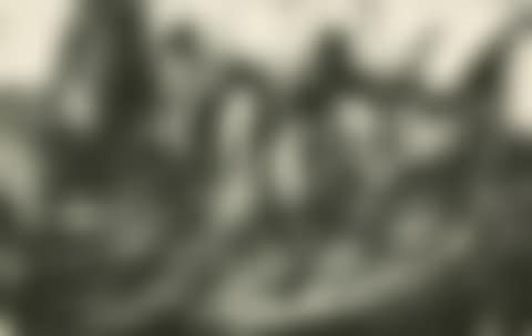 Dying Insect (preview)