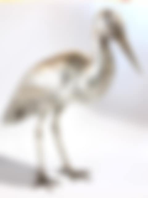 An Italian silver figural decanter (preview)