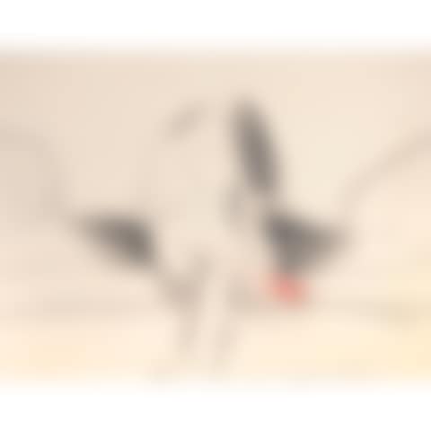 Untitled (Seated Woman Rubbing Foot) (preview)
