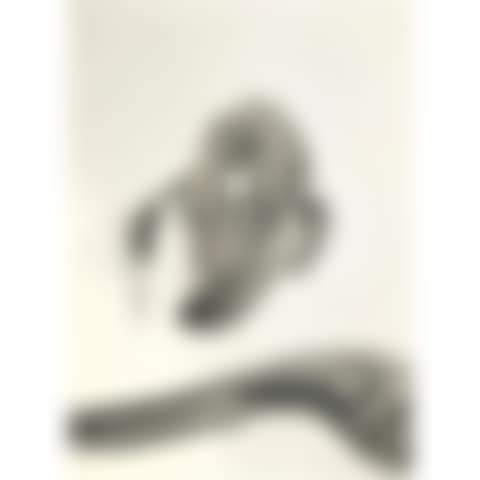 Untitled (Profile) (preview)
