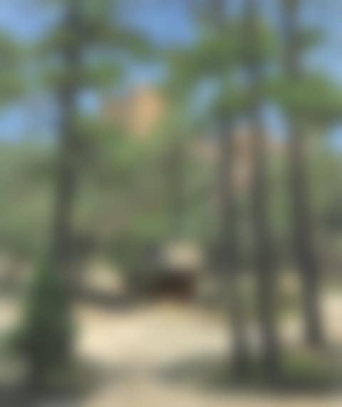 Cabin in the Pines (preview)
