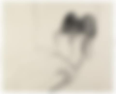 Woman in Mirror (preview)