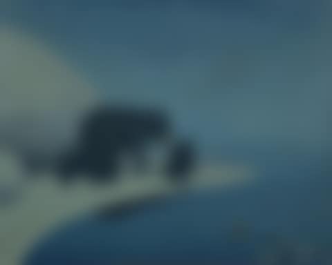 Bears in the Moonlight (preview)