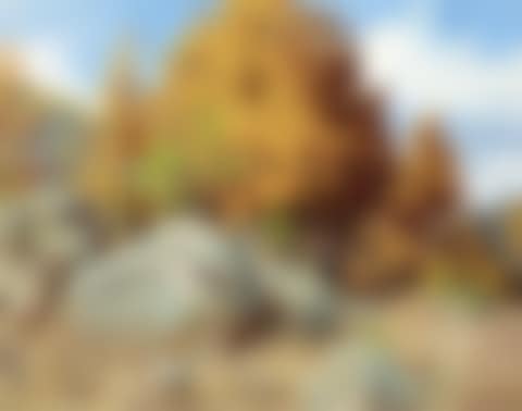 Top of the Knoll (preview)
