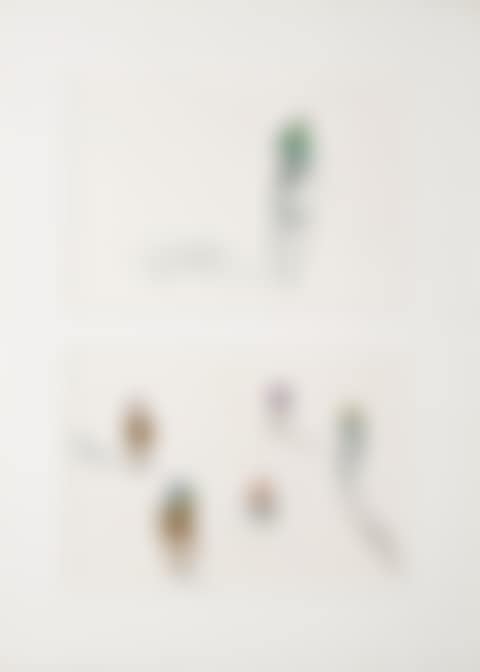 Study of Horse Jockeys (preview)