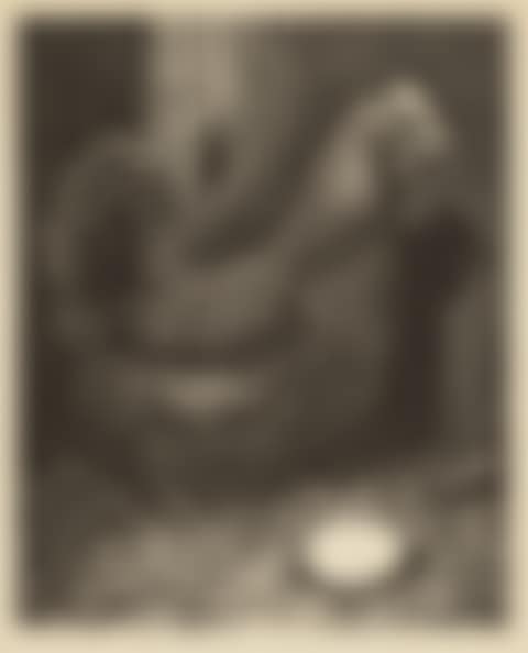 Ready to Hatch (preview)