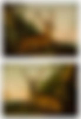 Paar jagdliche Bilder: Hirsche - Pendants (preview)