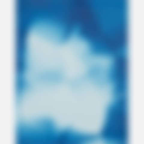 Untitled (preview)