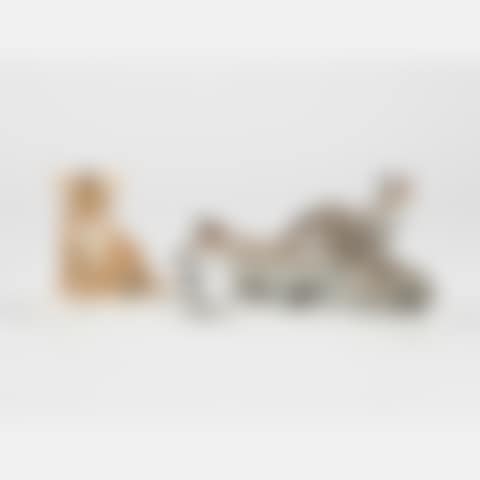 Two Meissen Porcelain Animal Figurines (preview)