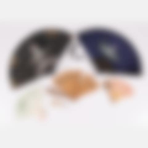 Collection of 19th/20th century fans (preview)