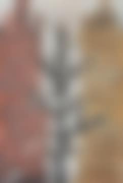Street scene with two houses and a tree# (preview)