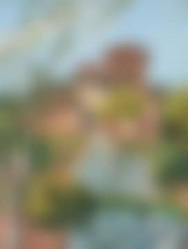 AN ITALIAN GARDEN (preview)